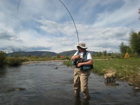 определение fishing