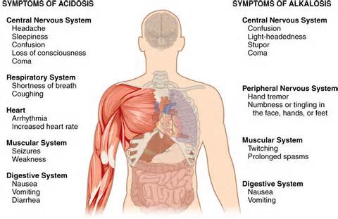 definition av alkalosis